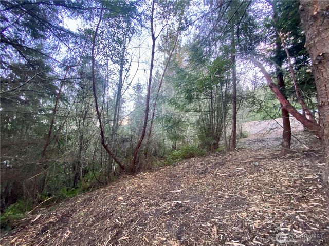 0 Chelsamish Drive, Sequim, WA 98382