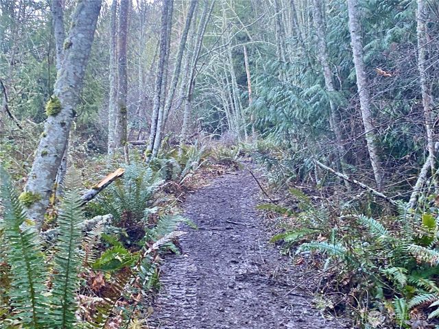 0 Chelsamish Drive, Sequim, WA 98382