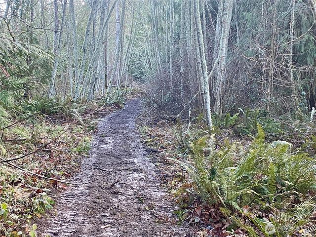 0 Chelsamish Drive, Sequim, WA 98382
