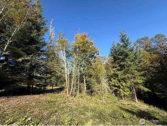 0 Chelsamish Drive, Sequim, WA 98382