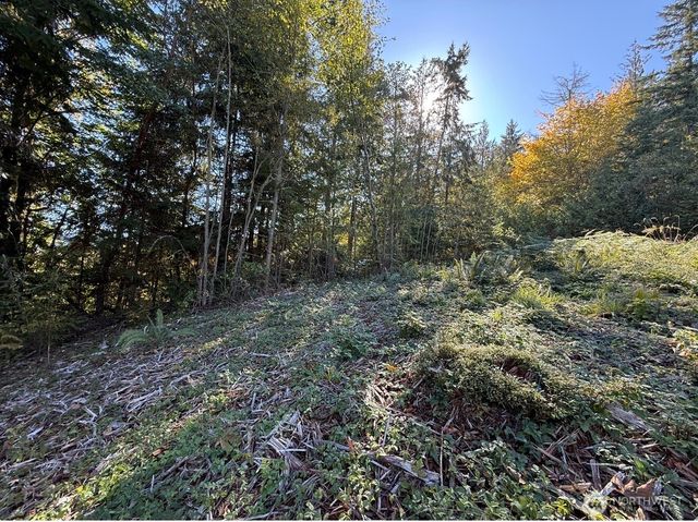 0 Chelsamish Drive, Sequim, WA 98382