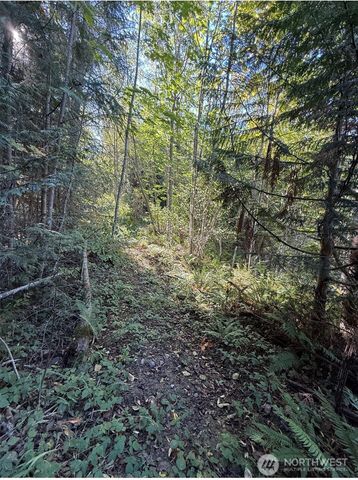 0 Chelsamish Drive, Sequim, WA 98382