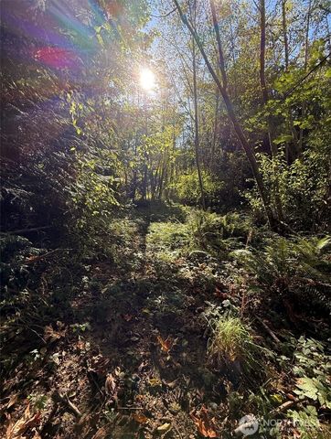 0 Chelsamish Drive, Sequim, WA 98382