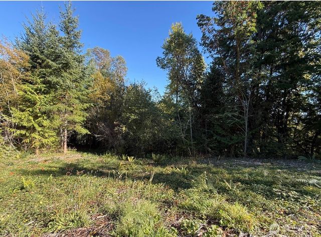 0 Chelsamish Drive, Sequim, WA 98382