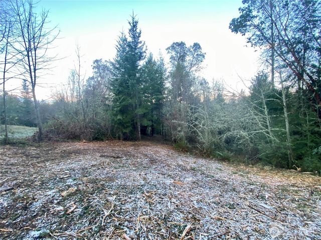 0 Chelsamish Drive, Sequim, WA 98382