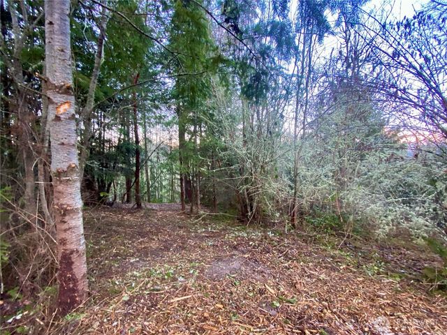 0 Chelsamish Drive, Sequim, WA 98382