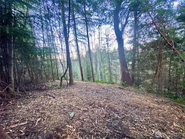 0 Chelsamish Drive, Sequim, WA 98382