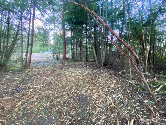 0 Chelsamish Drive, Sequim, WA 98382