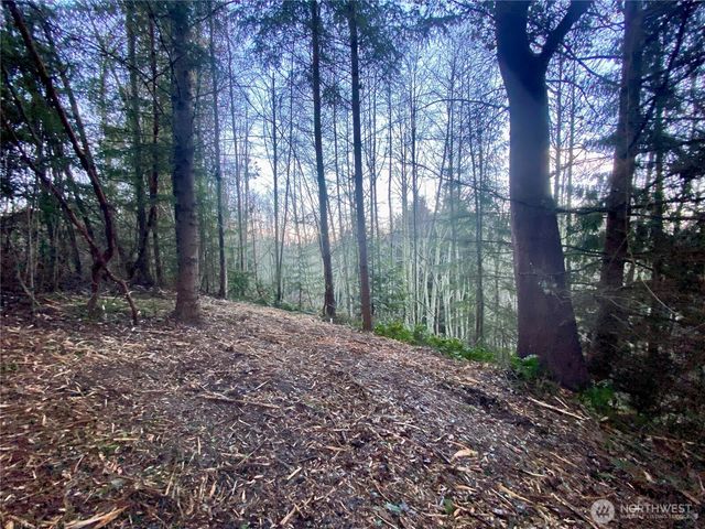 0 Chelsamish Drive, Sequim, WA 98382