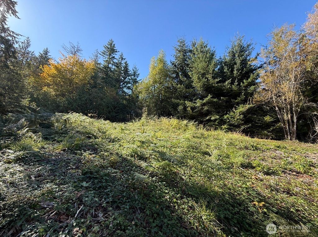 0 Chelsamish Drive, Sequim, WA 98382