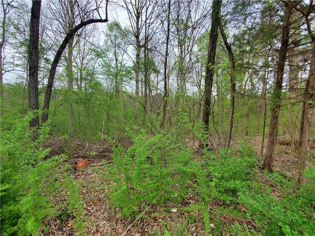 320 Brody Drive NE, Resaca, GA 30735