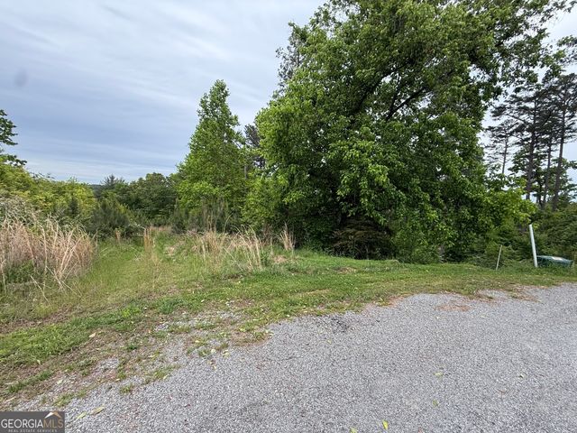 00 High River Crossing, Ellijay, GA 30540