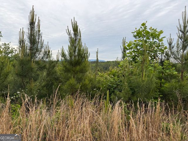 00 High River Crossing, Ellijay, GA 30540