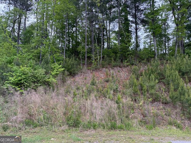 00 High River Crossing, Ellijay, GA 30540