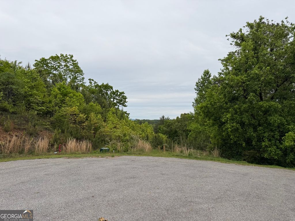 00 High River Crossing, Ellijay, GA 30540