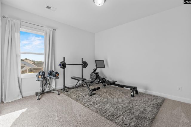 107 Rattle Trap Way, Lexington, SC 29072