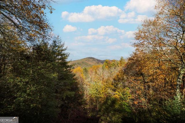 254 Aries Lane, Blue Ridge, GA 30513