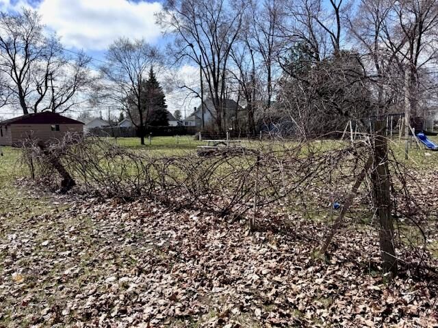 315 E Slosson Avenue, Reed City, MI 49677