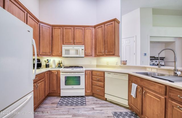 1591 W Laurel Glen Path, Hernando, FL 34442