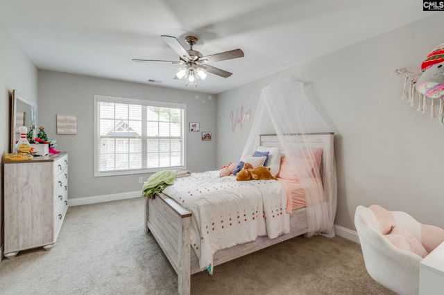 114 Keepers Court, Chapin, SC 29036