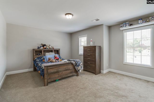114 Keepers Court, Chapin, SC 29036