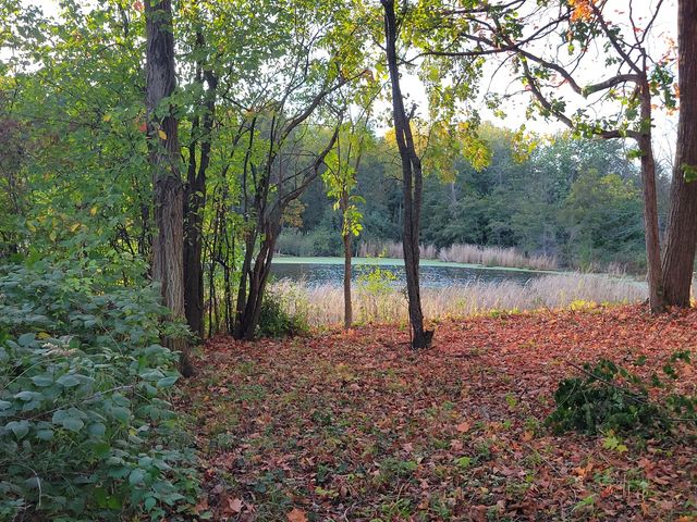 76 Whittington Course, St. Charles, IL 60174