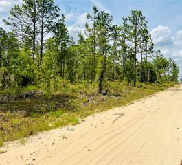 0000 NE 132 TERRACE TERRACE, Williston, FL 32696