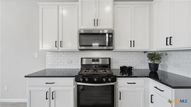 172 Brady Creek Way, Georgetown, TX 78628