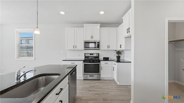 172 Brady Creek Way, Georgetown, TX 78628