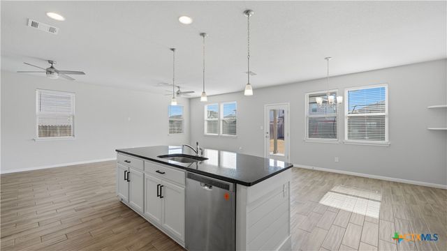 172 Brady Creek Way, Georgetown, TX 78628