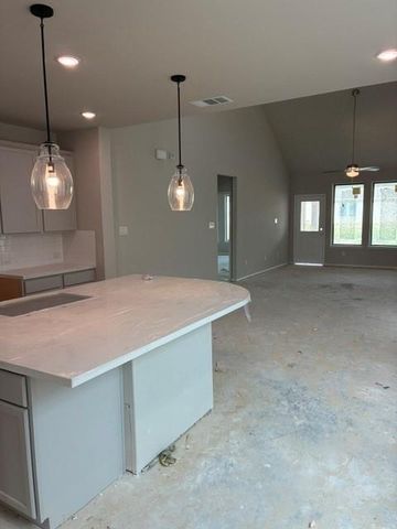 32019 Retama Ranch Lane, Spring, TX 77386