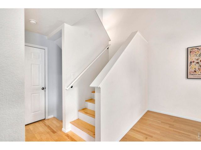 137 Bayside Cir, Windsor, CO 80550