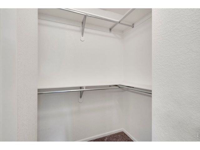 137 Bayside Cir, Windsor, CO 80550