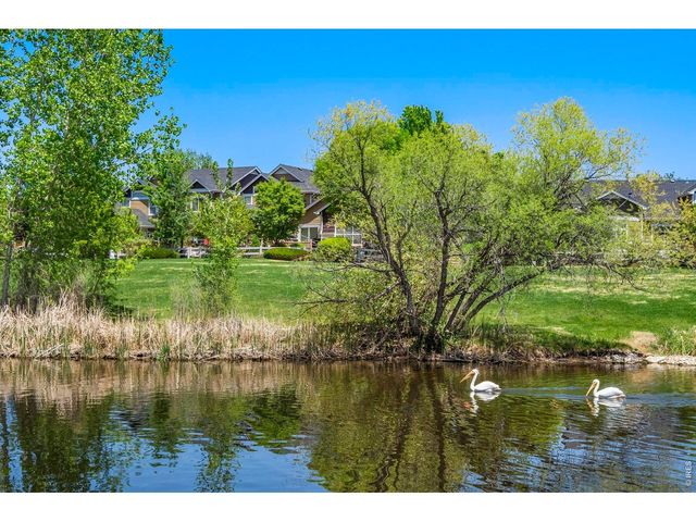 137 Bayside Cir, Windsor, CO 80550