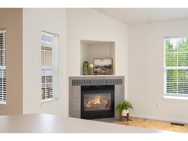 137 Bayside Cir, Windsor, CO 80550