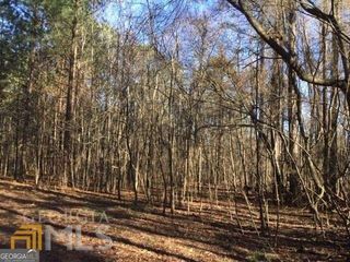 LOT#5, 11+ AC. McBride Road LOT 5, Fayetteville, GA 30215