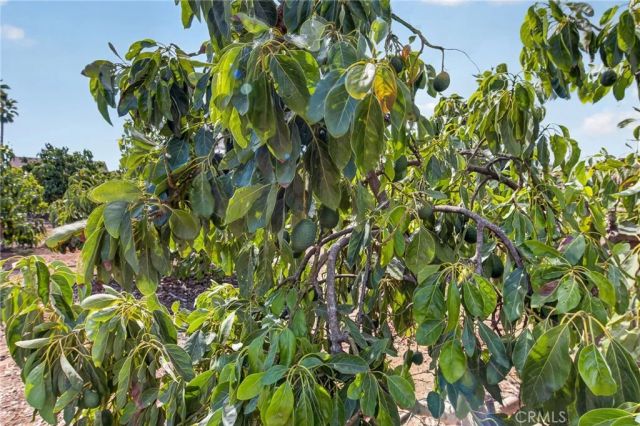 2801 E Mission Road, Fallbrook, CA 92028
