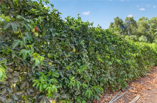 2801 E Mission Road, Fallbrook, CA 92028