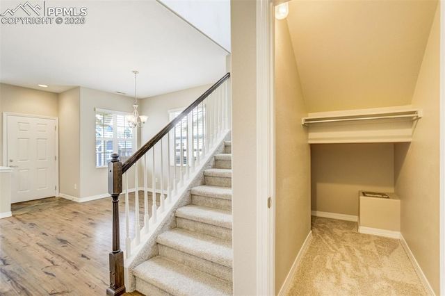 1567 Portland Gold Drive, Colorado Springs, CO 80905