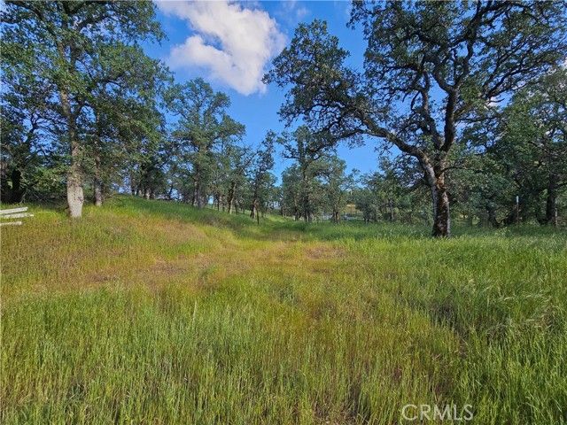 15566 Joseph Trail, Lower Lake, CA 95457