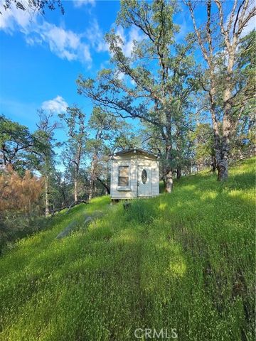 15566 Joseph Trail, Lower Lake, CA 95457