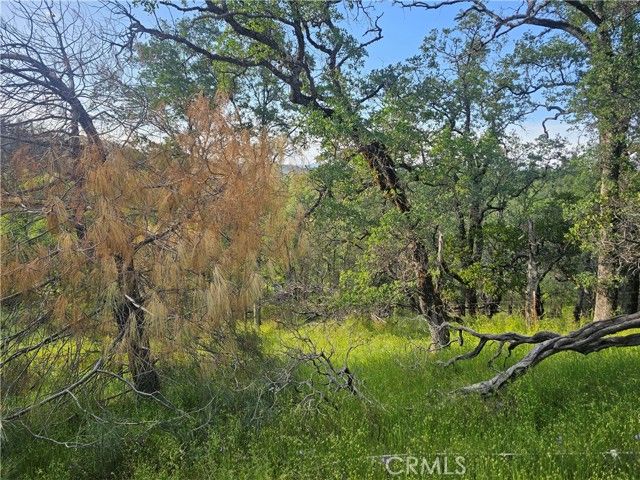 15566 Joseph Trail, Lower Lake, CA 95457