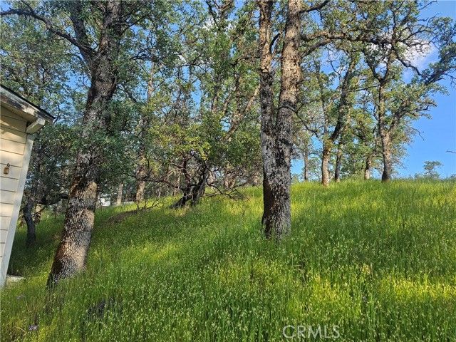 15566 Joseph Trail, Lower Lake, CA 95457