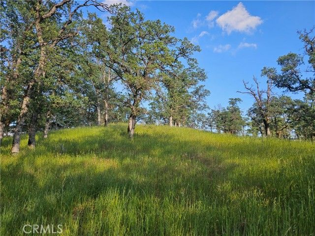 15566 Joseph Trail, Lower Lake, CA 95457