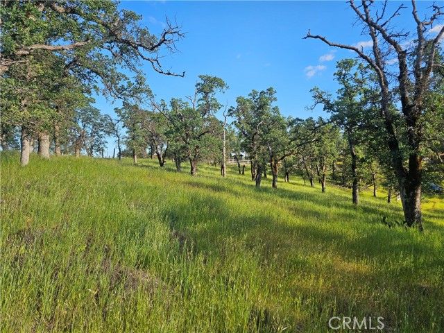 15566 Joseph Trail, Lower Lake, CA 95457