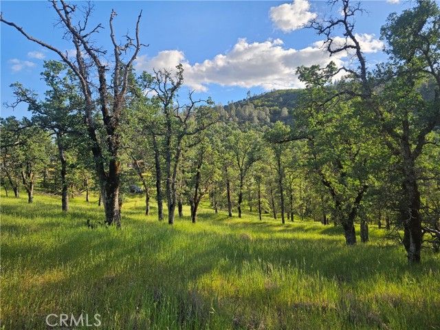 15566 Joseph Trail, Lower Lake, CA 95457