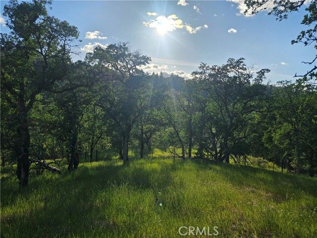 15566 Joseph Trail, Lower Lake, CA 95457