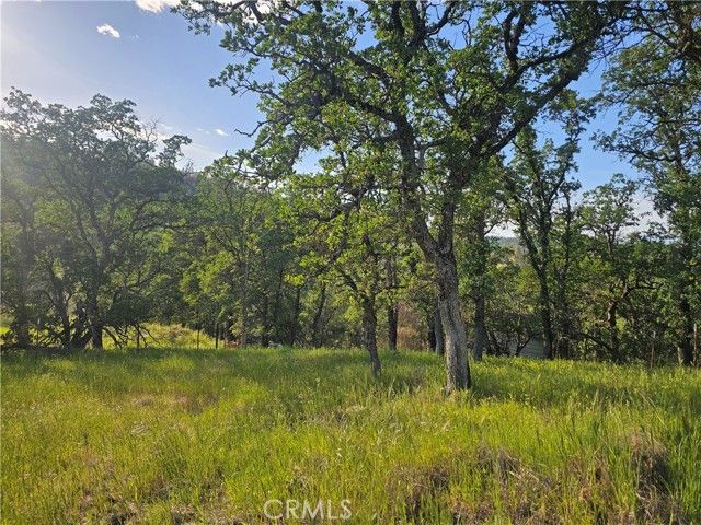 15566 Joseph Trail, Lower Lake, CA 95457