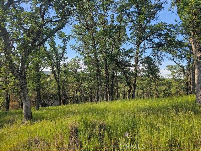 15566 Joseph Trail, Lower Lake, CA 95457