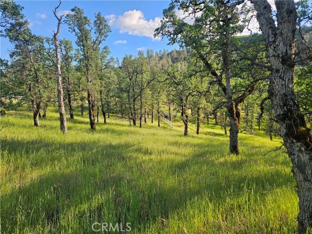 15566 Joseph Trail, Lower Lake, CA 95457